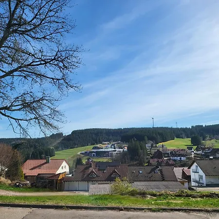 Garden Mountain In Schonach Center Apartment *