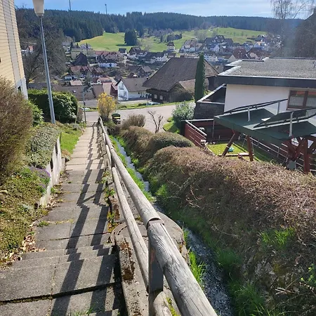 Garden Mountain In Schonach Center