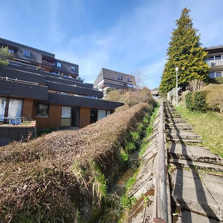 Garden Mountain In Schonach Center