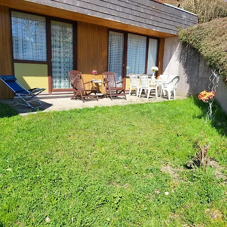 Garden Mountain In Schonach Center