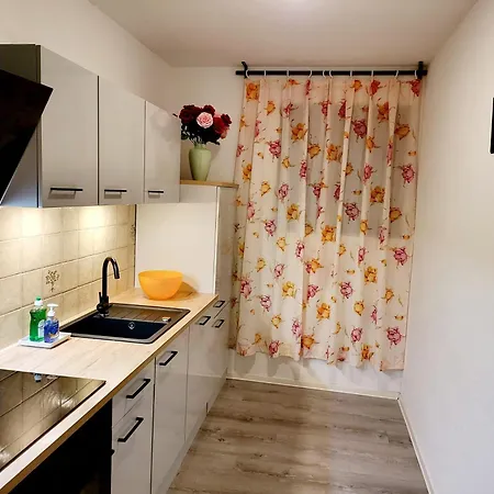 Apartment Garden Mountain In Schonach Center